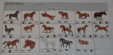 JANOME Embroidery Card No. 123 - HORSE DESIGNS